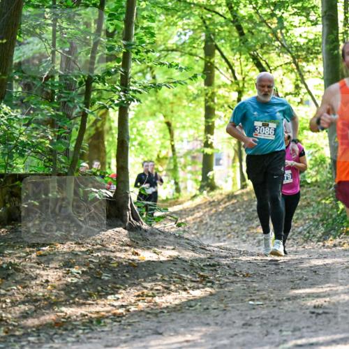28.09.2025 - 33. Volkslauf durch das schöne Alstertal Dr. Thomas Lammeyer http://msf.ph/oto/8962943 28.09.2025 11:13:11 Laufen 3086, 1506, 79 meine-sportfotos.de
