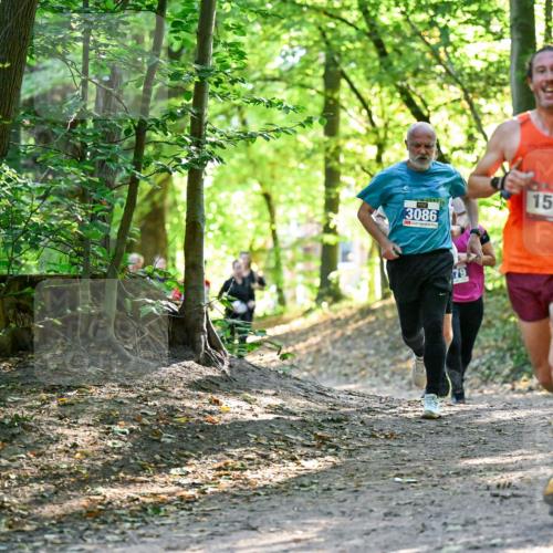 28.09.2025 - 33. Volkslauf durch das schöne Alstertal Dr. Thomas Lammeyer http://msf.ph/oto/8962944 28.09.2025 11:13:11 Laufen 3086, 79, 1506 meine-sportfotos.de