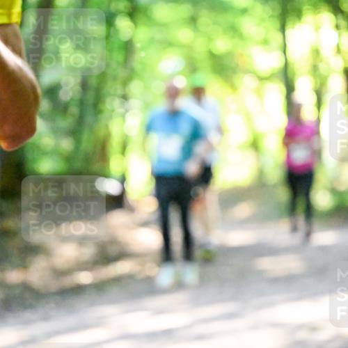 28.09.2025 - 33. Volkslauf durch das schöne Alstertal Dr. Thomas Lammeyer http://msf.ph/oto/8962953 28.09.2025 11:13:13 Laufen  meine-sportfotos.de