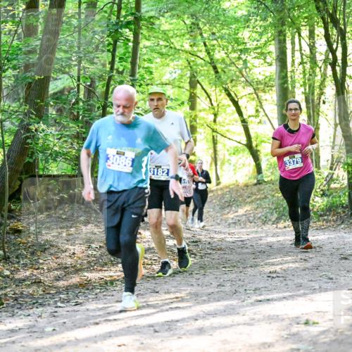 28.09.2025 - 33. Volkslauf durch das schöne Alstertal Dr. Thomas Lammeyer http://msf.ph/oto/8962955 28.09.2025 11:13:14 Laufen 3086, 3182, 3379 meine-sportfotos.de