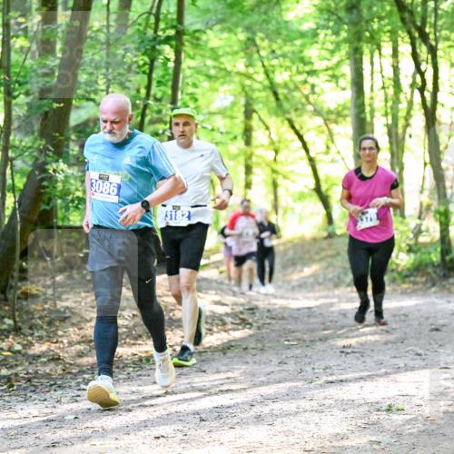 28.09.2025 - 33. Volkslauf durch das schöne Alstertal Dr. Thomas Lammeyer http://msf.ph/oto/8962958 28.09.2025 11:13:14 Laufen 3086, 3182 meine-sportfotos.de