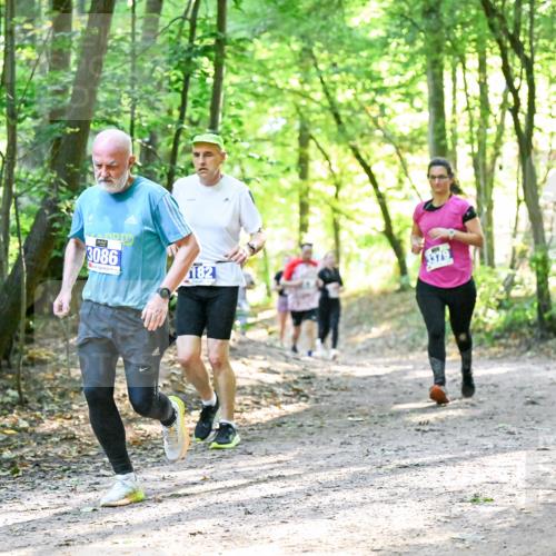 28.09.2025 - 33. Volkslauf durch das schöne Alstertal Dr. Thomas Lammeyer http://msf.ph/oto/8962960 28.09.2025 11:13:14 Laufen 3086, 3379 meine-sportfotos.de