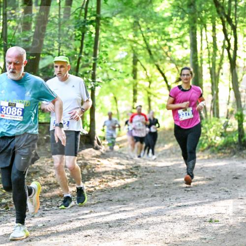 28.09.2025 - 33. Volkslauf durch das schöne Alstertal Dr. Thomas Lammeyer http://msf.ph/oto/8962962 28.09.2025 11:13:15 Laufen 3086 meine-sportfotos.de