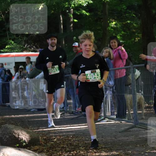 28.09.2025 - 33. Volkslauf durch das schöne Alstertal Strokosch-Dieckow http://msf.ph/oto/8962965 28.09.2025 11:00:32 Ziel 4041, 4043 meine-sportfotos.de