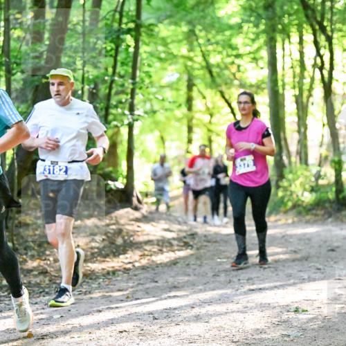 28.09.2025 - 33. Volkslauf durch das schöne Alstertal Dr. Thomas Lammeyer http://msf.ph/oto/8962966 28.09.2025 11:13:15 Laufen 3086, 3182 meine-sportfotos.de
