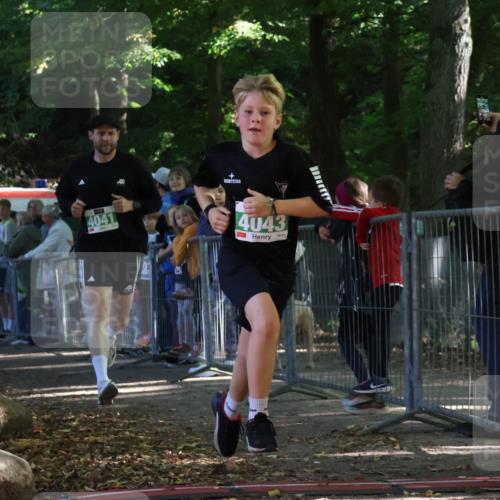 28.09.2025 - 33. Volkslauf durch das schöne Alstertal Strokosch-Dieckow http://msf.ph/oto/8962967 28.09.2025 11:00:33 Ziel 4041, 4043 meine-sportfotos.de