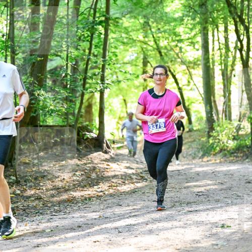 28.09.2025 - 33. Volkslauf durch das schöne Alstertal Dr. Thomas Lammeyer http://msf.ph/oto/8962971 28.09.2025 11:13:15 Laufen 3182, 3379 meine-sportfotos.de