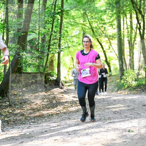 28.09.2025 - 33. Volkslauf durch das schöne Alstertal Dr. Thomas Lammeyer http://msf.ph/oto/8962973 28.09.2025 11:13:16 Laufen 3182, 3379 meine-sportfotos.de