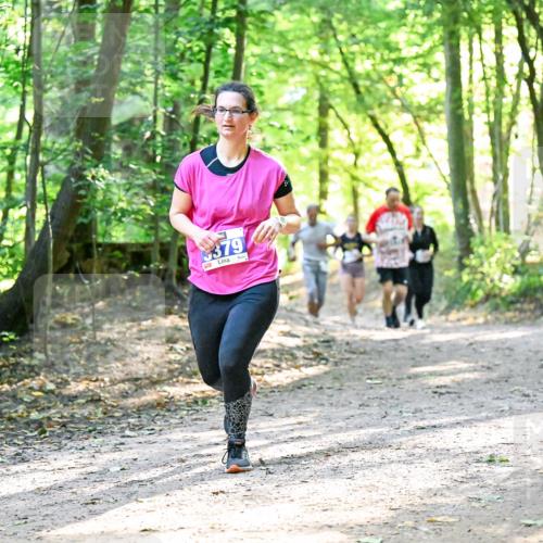 28.09.2025 - 33. Volkslauf durch das schöne Alstertal Dr. Thomas Lammeyer http://msf.ph/oto/8962977 28.09.2025 11:13:16 Laufen 5379 meine-sportfotos.de