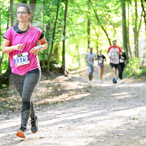 28.09.2025 - 33. Volkslauf durch das schöne Alstertal Dr. Thomas Lammeyer http://msf.ph/oto/8962978 28.09.2025 11:13:17 Laufen 3379 meine-sportfotos.de