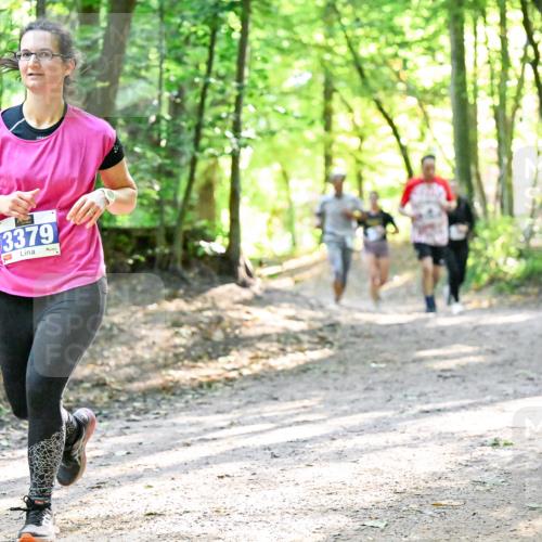 28.09.2025 - 33. Volkslauf durch das schöne Alstertal Dr. Thomas Lammeyer http://msf.ph/oto/8962979 28.09.2025 11:13:17 Laufen 3379 meine-sportfotos.de