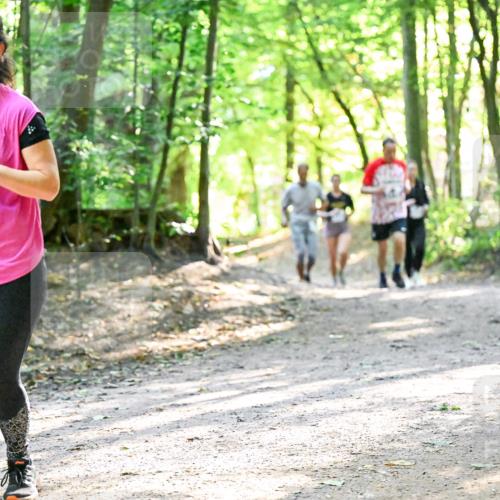 28.09.2025 - 33. Volkslauf durch das schöne Alstertal Dr. Thomas Lammeyer http://msf.ph/oto/8962981 28.09.2025 11:13:17 Laufen 3379 meine-sportfotos.de