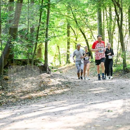 28.09.2025 - 33. Volkslauf durch das schöne Alstertal Dr. Thomas Lammeyer http://msf.ph/oto/8962983 28.09.2025 11:13:18 Laufen 3129, 3175, 3064 meine-sportfotos.de