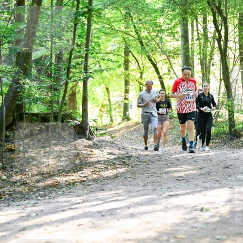 28.09.2025 - 33. Volkslauf durch das schöne Alstertal Dr. Thomas Lammeyer http://msf.ph/oto/8962984 28.09.2025 11:13:18 Laufen  meine-sportfotos.de