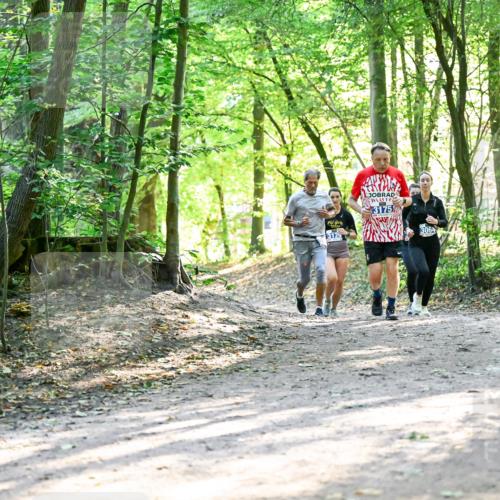 28.09.2025 - 33. Volkslauf durch das schöne Alstertal Dr. Thomas Lammeyer http://msf.ph/oto/8962986 28.09.2025 11:13:18 Laufen 3125, 3175, 3064 meine-sportfotos.de
