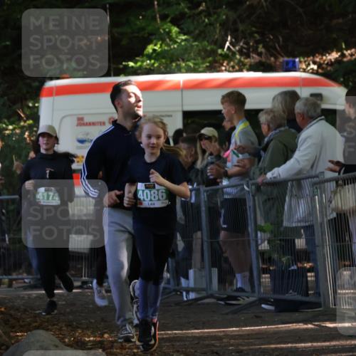 28.09.2025 - 33. Volkslauf durch das schöne Alstertal Strokosch-Dieckow http://msf.ph/oto/8962987 28.09.2025 11:01:08 Ziel 4070, 4086, 4171, 4174, 4178, 4179 meine-sportfotos.de