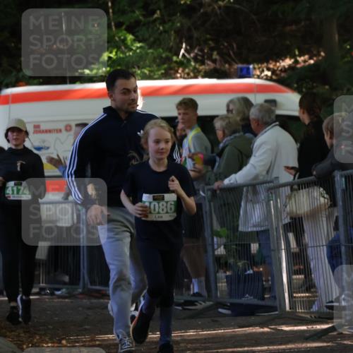 28.09.2025 - 33. Volkslauf durch das schöne Alstertal Strokosch-Dieckow http://msf.ph/oto/8962989 28.09.2025 11:01:08 Ziel 4070, 4086, 4171, 4174, 4178, 4179 meine-sportfotos.de
