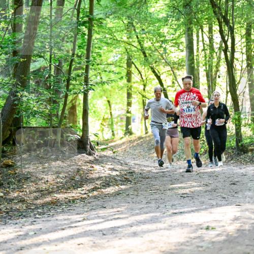 28.09.2025 - 33. Volkslauf durch das schöne Alstertal Dr. Thomas Lammeyer http://msf.ph/oto/8962990 28.09.2025 11:13:18 Laufen 3175 meine-sportfotos.de