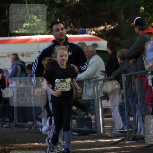 28.09.2025 - 33. Volkslauf durch das schöne Alstertal Strokosch-Dieckow http://msf.ph/oto/8962991 28.09.2025 11:01:09 Ziel 4070, 4086, 4171, 4174, 4178, 4179 meine-sportfotos.de