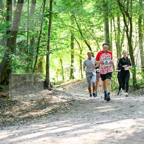 28.09.2025 - 33. Volkslauf durch das schöne Alstertal Dr. Thomas Lammeyer http://msf.ph/oto/8962993 28.09.2025 11:13:19 Laufen 306 meine-sportfotos.de