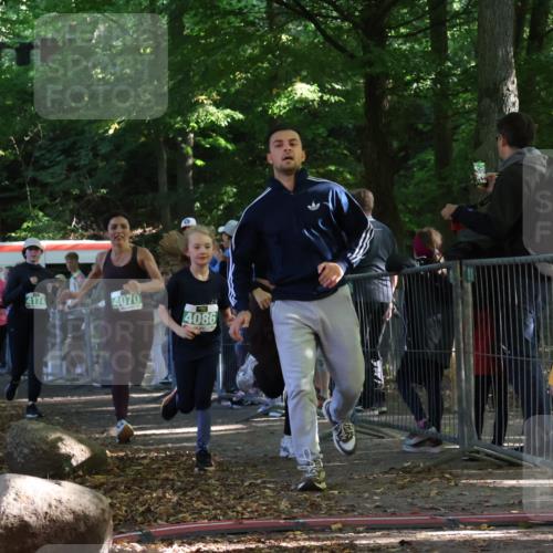 28.09.2025 - 33. Volkslauf durch das schöne Alstertal Strokosch-Dieckow http://msf.ph/oto/8962996 28.09.2025 11:01:11 Ziel 4070, 4086, 4171, 4174, 4178, 4179 meine-sportfotos.de