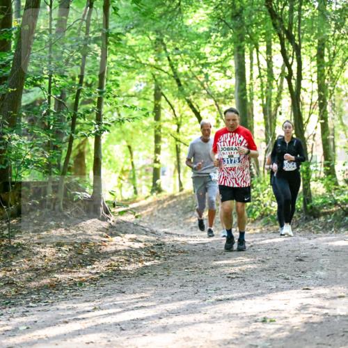 28.09.2025 - 33. Volkslauf durch das schöne Alstertal Dr. Thomas Lammeyer http://msf.ph/oto/8962997 28.09.2025 11:13:19 Laufen 3175, 3064 meine-sportfotos.de