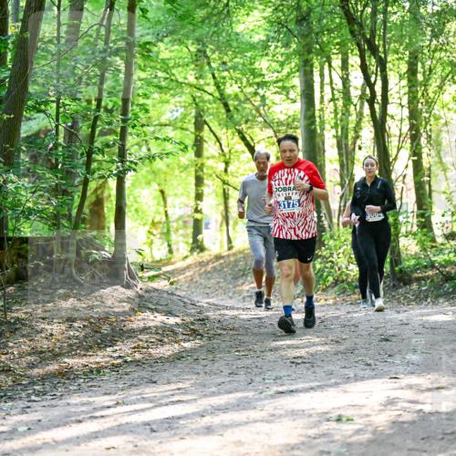 28.09.2025 - 33. Volkslauf durch das schöne Alstertal Dr. Thomas Lammeyer http://msf.ph/oto/8962998 28.09.2025 11:13:19 Laufen 3175, 5064 meine-sportfotos.de