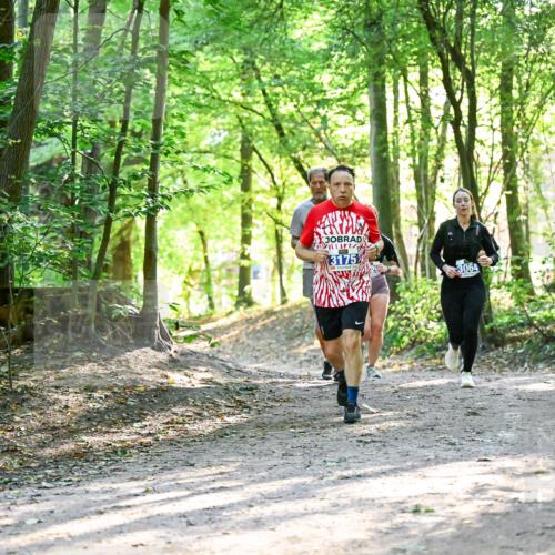 28.09.2025 - 33. Volkslauf durch das schöne Alstertal Dr. Thomas Lammeyer http://msf.ph/oto/8963000 28.09.2025 11:13:19 Laufen 3175, 3064 meine-sportfotos.de