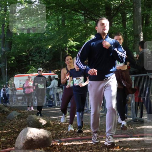 28.09.2025 - 33. Volkslauf durch das schöne Alstertal Strokosch-Dieckow http://msf.ph/oto/8963002 28.09.2025 11:01:12 Ziel 4070, 4086, 4171, 4174, 4178, 4179 meine-sportfotos.de
