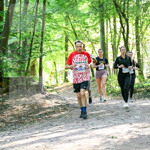 28.09.2025 - 33. Volkslauf durch das schöne Alstertal Dr. Thomas Lammeyer http://msf.ph/oto/8963006 28.09.2025 11:13:20 Laufen 3175, 3129, 3064, 42 meine-sportfotos.de
