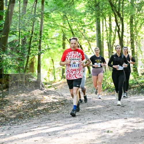 28.09.2025 - 33. Volkslauf durch das schöne Alstertal Dr. Thomas Lammeyer http://msf.ph/oto/8963008 28.09.2025 11:13:20 Laufen 3175 meine-sportfotos.de