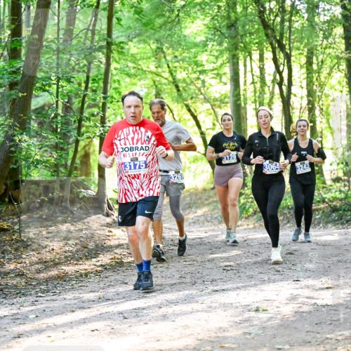 28.09.2025 - 33. Volkslauf durch das schöne Alstertal Dr. Thomas Lammeyer http://msf.ph/oto/8963009 28.09.2025 11:13:21 Laufen 3175, 3261, 3129, 3064, 3242 meine-sportfotos.de