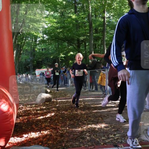 28.09.2025 - 33. Volkslauf durch das schöne Alstertal Strokosch-Dieckow http://msf.ph/oto/8963010 28.09.2025 11:01:13 Ziel 4070, 4086, 4171, 4174, 4178, 4179 meine-sportfotos.de