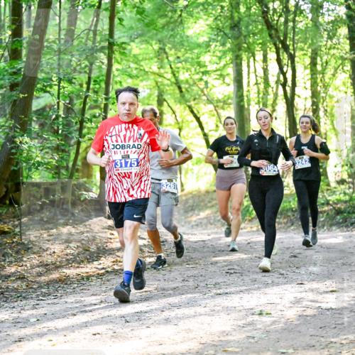 28.09.2025 - 33. Volkslauf durch das schöne Alstertal Dr. Thomas Lammeyer http://msf.ph/oto/8963011 28.09.2025 11:13:21 Laufen 3175, 3261, 3242, 5064 meine-sportfotos.de