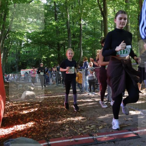 28.09.2025 - 33. Volkslauf durch das schöne Alstertal Strokosch-Dieckow http://msf.ph/oto/8963012 28.09.2025 11:01:13 Ziel 4070, 4086, 4171, 4174, 4178, 4179 meine-sportfotos.de
