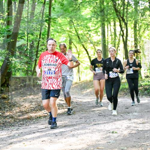 28.09.2025 - 33. Volkslauf durch das schöne Alstertal Dr. Thomas Lammeyer http://msf.ph/oto/8963013 28.09.2025 11:13:21 Laufen 3175, 312, 3064 meine-sportfotos.de
