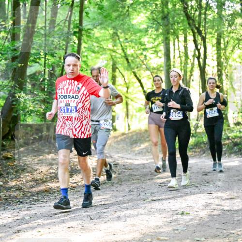 28.09.2025 - 33. Volkslauf durch das schöne Alstertal Dr. Thomas Lammeyer http://msf.ph/oto/8963014 28.09.2025 11:13:21 Laufen 3175, 3261, 3064, 3242 meine-sportfotos.de
