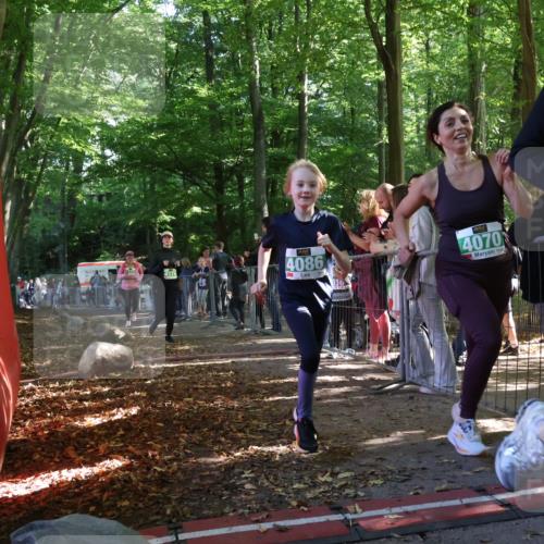 28.09.2025 - 33. Volkslauf durch das schöne Alstertal Strokosch-Dieckow http://msf.ph/oto/8963015 28.09.2025 11:01:14 Ziel 4070, 4171, 4174 meine-sportfotos.de