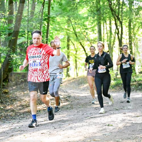 28.09.2025 - 33. Volkslauf durch das schöne Alstertal Dr. Thomas Lammeyer http://msf.ph/oto/8963016 28.09.2025 11:13:21 Laufen 3175, 326, 5004, 3242 meine-sportfotos.de