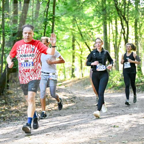28.09.2025 - 33. Volkslauf durch das schöne Alstertal Dr. Thomas Lammeyer http://msf.ph/oto/8963017 28.09.2025 11:13:22 Laufen 3175, 3261, 3064, 3242 meine-sportfotos.de