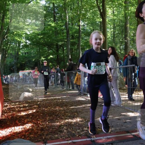 28.09.2025 - 33. Volkslauf durch das schöne Alstertal Strokosch-Dieckow http://msf.ph/oto/8963018 28.09.2025 11:01:14 Ziel 4070, 4171, 4174 meine-sportfotos.de