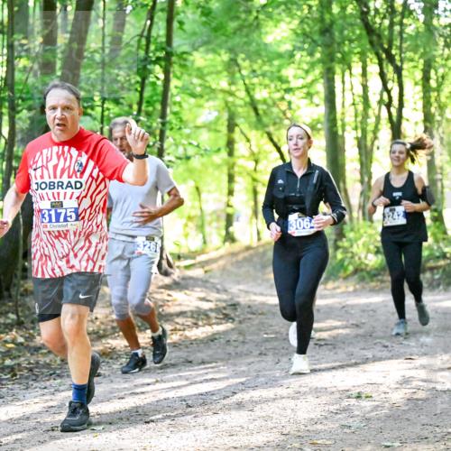 28.09.2025 - 33. Volkslauf durch das schöne Alstertal Dr. Thomas Lammeyer http://msf.ph/oto/8963019 28.09.2025 11:13:22 Laufen 3175, 3261, 3064 meine-sportfotos.de