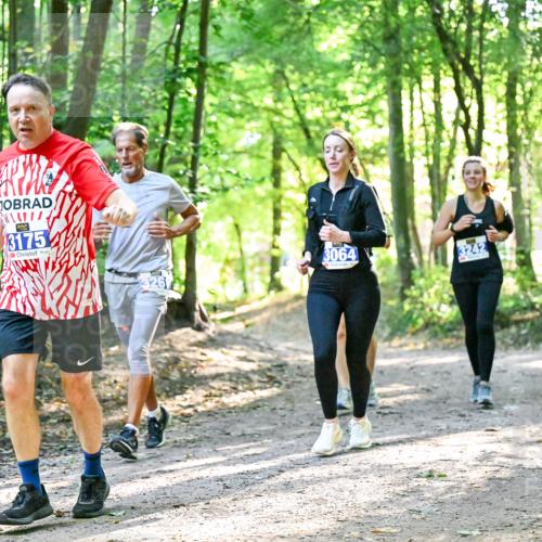 28.09.2025 - 33. Volkslauf durch das schöne Alstertal Dr. Thomas Lammeyer http://msf.ph/oto/8963020 28.09.2025 11:13:22 Laufen 3175, 326, 3064, 3242 meine-sportfotos.de