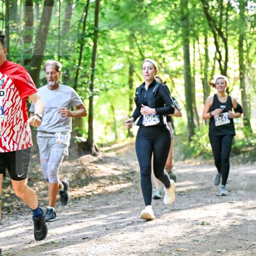 28.09.2025 - 33. Volkslauf durch das schöne Alstertal Dr. Thomas Lammeyer http://msf.ph/oto/8963022 28.09.2025 11:13:22 Laufen 10, 3175, 3064, 3242 meine-sportfotos.de