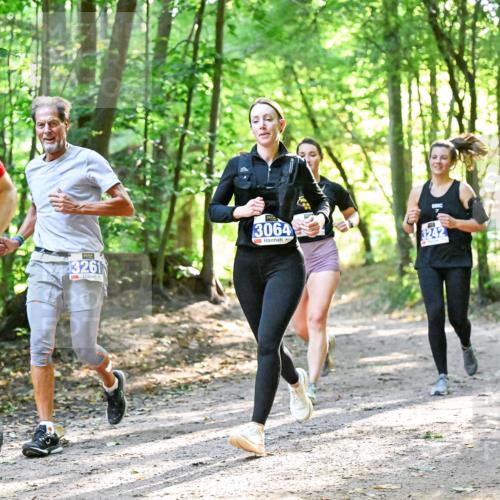 28.09.2025 - 33. Volkslauf durch das schöne Alstertal Dr. Thomas Lammeyer http://msf.ph/oto/8963023 28.09.2025 11:13:22 Laufen 31754, 3261, 3064, 3242 meine-sportfotos.de