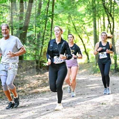 28.09.2025 - 33. Volkslauf durch das schöne Alstertal Dr. Thomas Lammeyer http://msf.ph/oto/8963025 28.09.2025 11:13:22 Laufen 3261, 306, 3242 meine-sportfotos.de