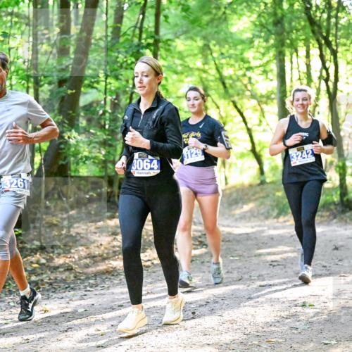 28.09.2025 - 33. Volkslauf durch das schöne Alstertal Dr. Thomas Lammeyer http://msf.ph/oto/8963026 28.09.2025 11:13:23 Laufen 3261, 3064, 3129, 3242 meine-sportfotos.de
