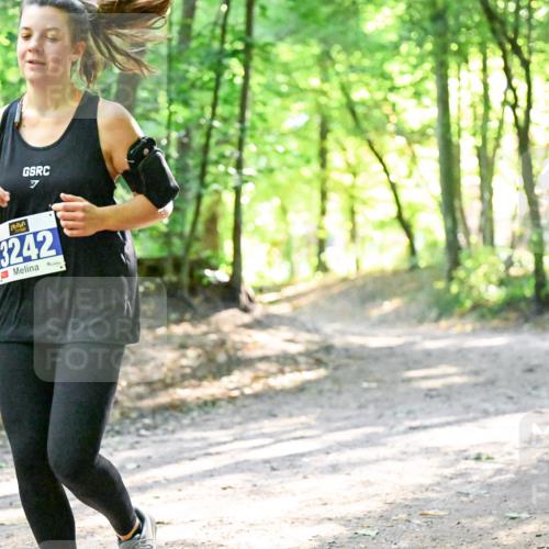 28.09.2025 - 33. Volkslauf durch das schöne Alstertal Dr. Thomas Lammeyer http://msf.ph/oto/8963037 28.09.2025 11:13:24 Laufen 7, 3242 meine-sportfotos.de