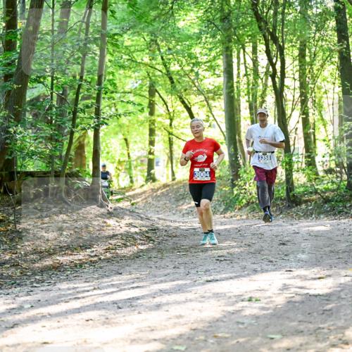 28.09.2025 - 33. Volkslauf durch das schöne Alstertal Dr. Thomas Lammeyer http://msf.ph/oto/8963039 28.09.2025 11:13:38 Laufen 3004, 3358 meine-sportfotos.de