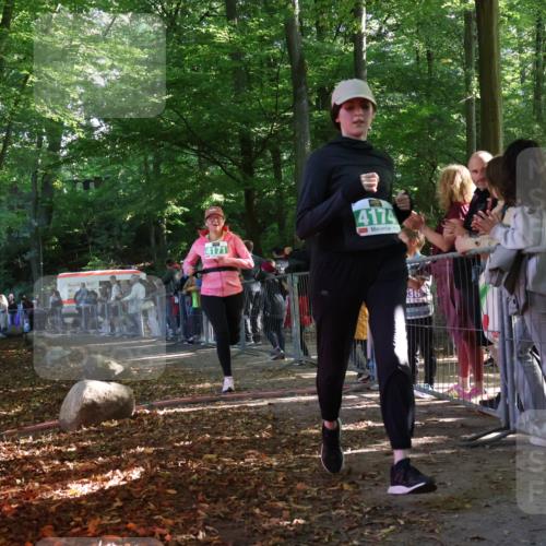 28.09.2025 - 33. Volkslauf durch das schöne Alstertal Strokosch-Dieckow http://msf.ph/oto/8963040 28.09.2025 11:01:16 Ziel 4171, 4174 meine-sportfotos.de